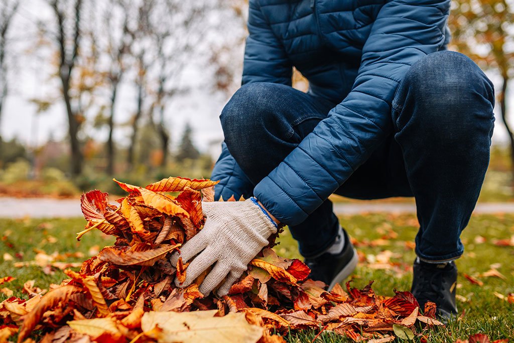 Ramassage de feuilles